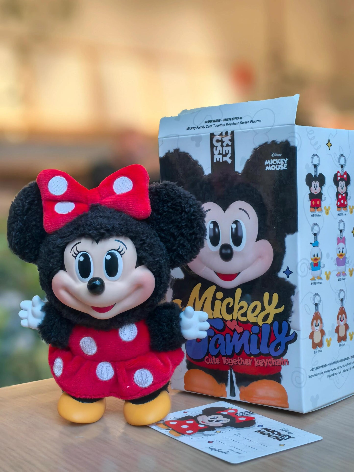 Mickey Family&Disney